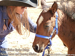 Katia and Morningstar- orphan foal
